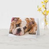 Carte Chien de taureau anglais (Fleur jaune)