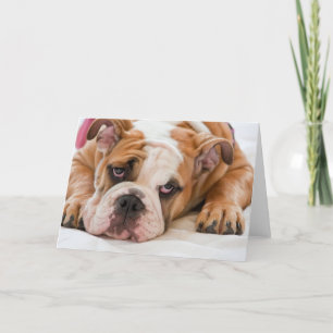 Carte Chien de taureau anglais