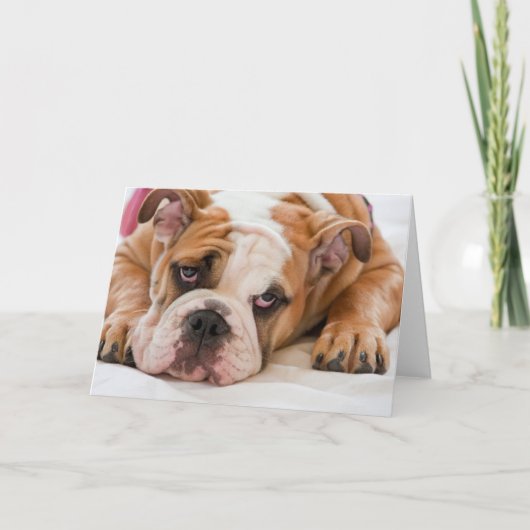 Carte Chien de taureau anglais (Devant)