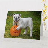 Carte Chien de taureau citrouille d'Halloween (Fleur jaune)