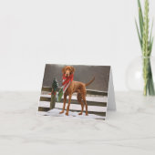 Carte Chien de Vizsla à Noël de neige (Devant)