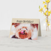 Carte Chien de Yorkie d'amusement de joyeux anniversaire (Fleur jaune)