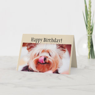 Carte Chien de Yorkie d'amusement de joyeux anniversaire