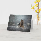 Carte Chien d'eau (Fleur jaune)