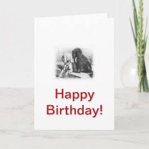 Carte Chien d'eau portugais