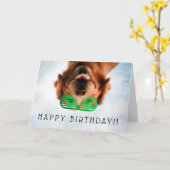 Carte Chien des images | de Getty avec des verres (Fleur jaune)