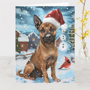 Carte Chien d'hiver belge Malinoi Wonderland Noël