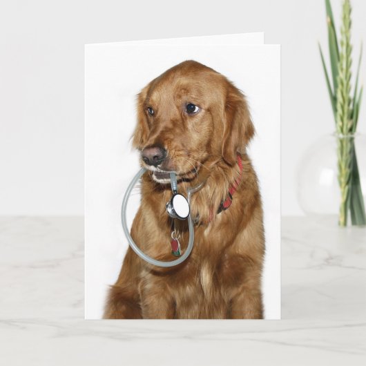 Carte Chien docteur (Devant)
