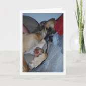 Carte Chien dormant avec un os (Devant)