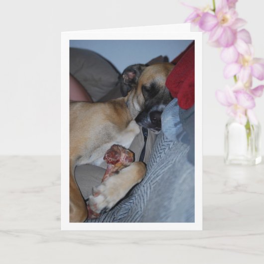 Carte Chien dormant avec un os (Orchidée)