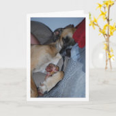 Carte Chien dormant avec un os (Fleur jaune)