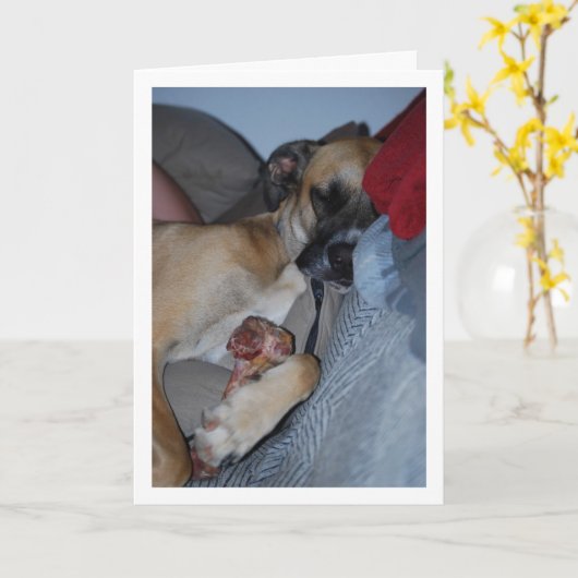Carte Chien dormant avec un os (Fleur jaune)