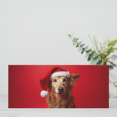 Carte Chien drôle sur fond rouge (Debout devant)