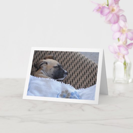 Carte Chien en bas âge dans couverture (Orchidée)