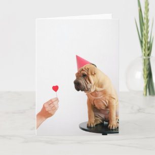 Carte Chien en Bas âge Portant un Chapeau