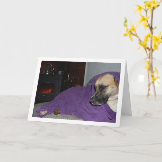 Carte Chien endormi par cheminée (Fleur jaune)