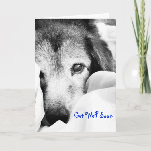 Carte chien endormi sur le lit câlin noir blanc (Devant)