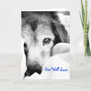 Carte chien endormi sur le lit câlin noir blanc