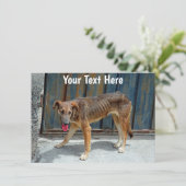 Carte chien errant personnalisable (Debout devant)