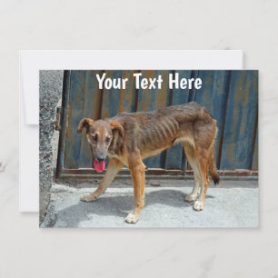Carte chien errant personnalisable
