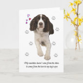 Carte Chien espagnol Springer anglais (Fleur jaune)