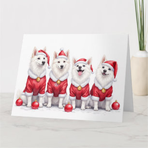 Carte Chien Esquimau Américain tenue de Noël chapeau de