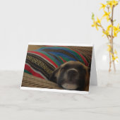 Carte Chien et Coussin (Fleur jaune)