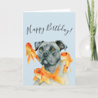 Chien et poissons d'or | Joyeux anniversaire