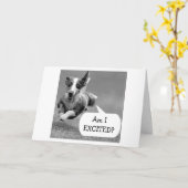 CARTE CHIEN EXCITÉ NE PEUT PAS ATTENDRE VOTRE ANNIVERSAI (Fleur jaune)