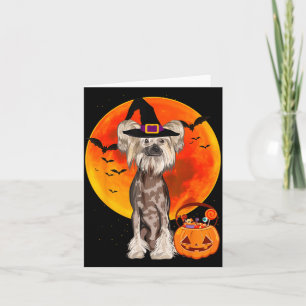 Carte Chien Halloween Crested chinois Citrouille Jack O