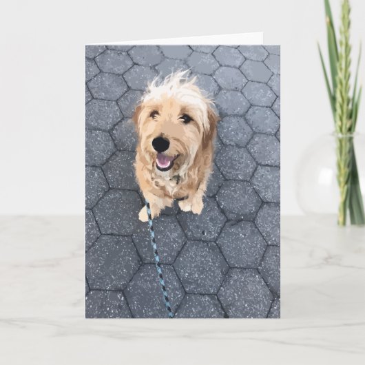 Carte Chien Happy Golden Doodle en promenade (Devant)