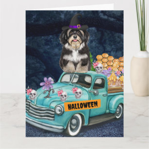 Carte Chien Havanais Halloween Camion Nuit Effrayante
