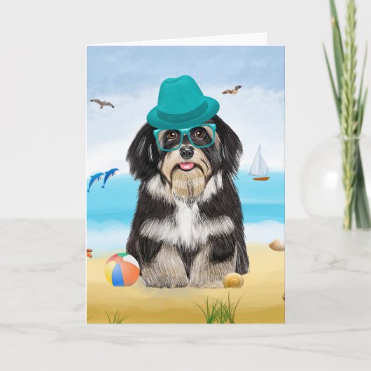 Carte Chien Havanais sur la plage (Devant)