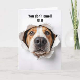 Carte Chien Hound Anniversaire Dans Trou De Papier