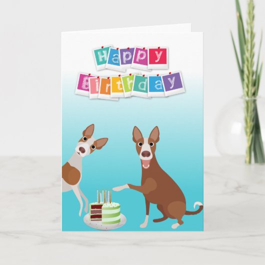 Carte Chien Ibizenca d'anniversaire avec gâteau d'annive (Devant)
