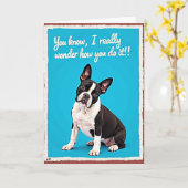 Carte Chien 'Je me demande comment tu fais' (Fleur jaune)