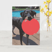 Carte Chien Jouant Frisbee Piscine (Fleur jaune)