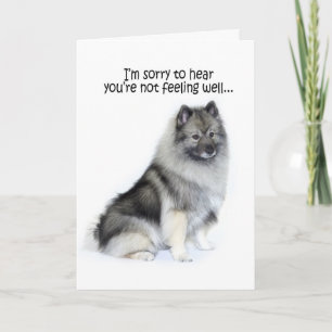 Carte Chien Keeschien Get Well Card