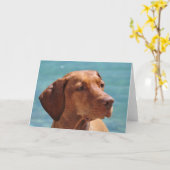 Carte Chien Magyar Vizsla (Fleur jaune)