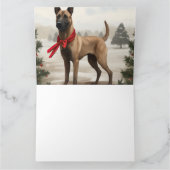 Carte Chien malinois belge à Noël de neige (Intérieur)