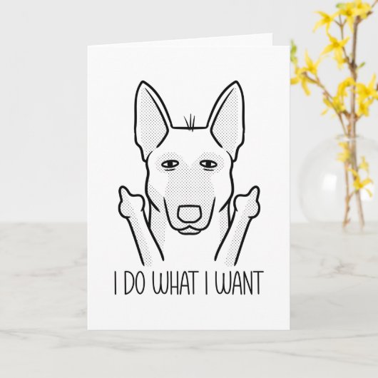 Carte Chien Malinois têtu Chien Belge (Fleur jaune)