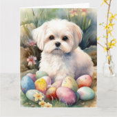 Carte Chien maltais avec oeufs de Pâques vacances (Fleur jaune)
