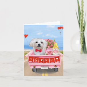 Carte Chien maltais camion de la Saint-Valentin