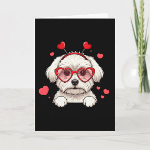Carte Chien Maltais Cœur Tête et Saint-Valentin Femmes M