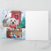 Carte Chien maltais dans la neige Maison de Chien de Noë (Intérieur)