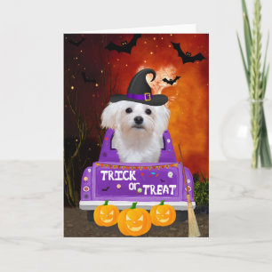Carte Chien maltais dans un camion Halloween