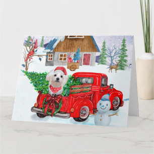Carte Chien maltais en livraison de Noël Camion Neige