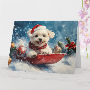 Carte Chien maltais en traîneau Laissez neige Noël