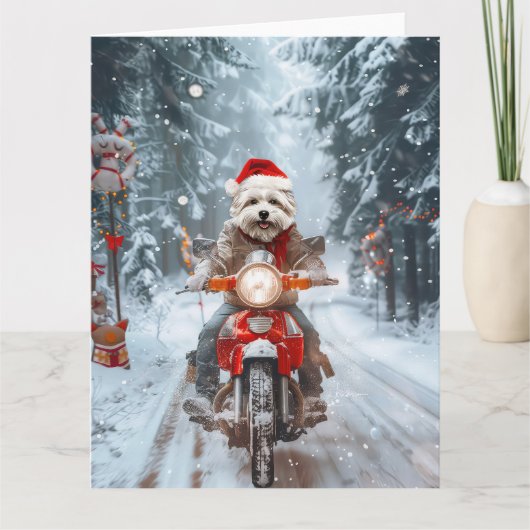 Carte Chien maltais équitation moto Noël (Devant)