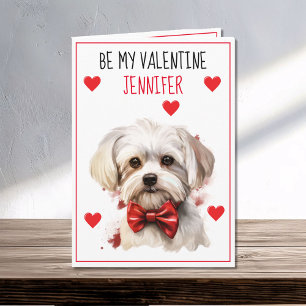 Carte Chien maltais Je t'ai malmenée Valentine